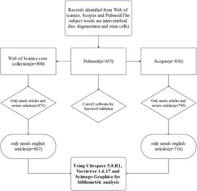 Global research status and hot trends in stem cells therapy for Intervertebral disc degeneration: A bibliometric and clinical study analysis